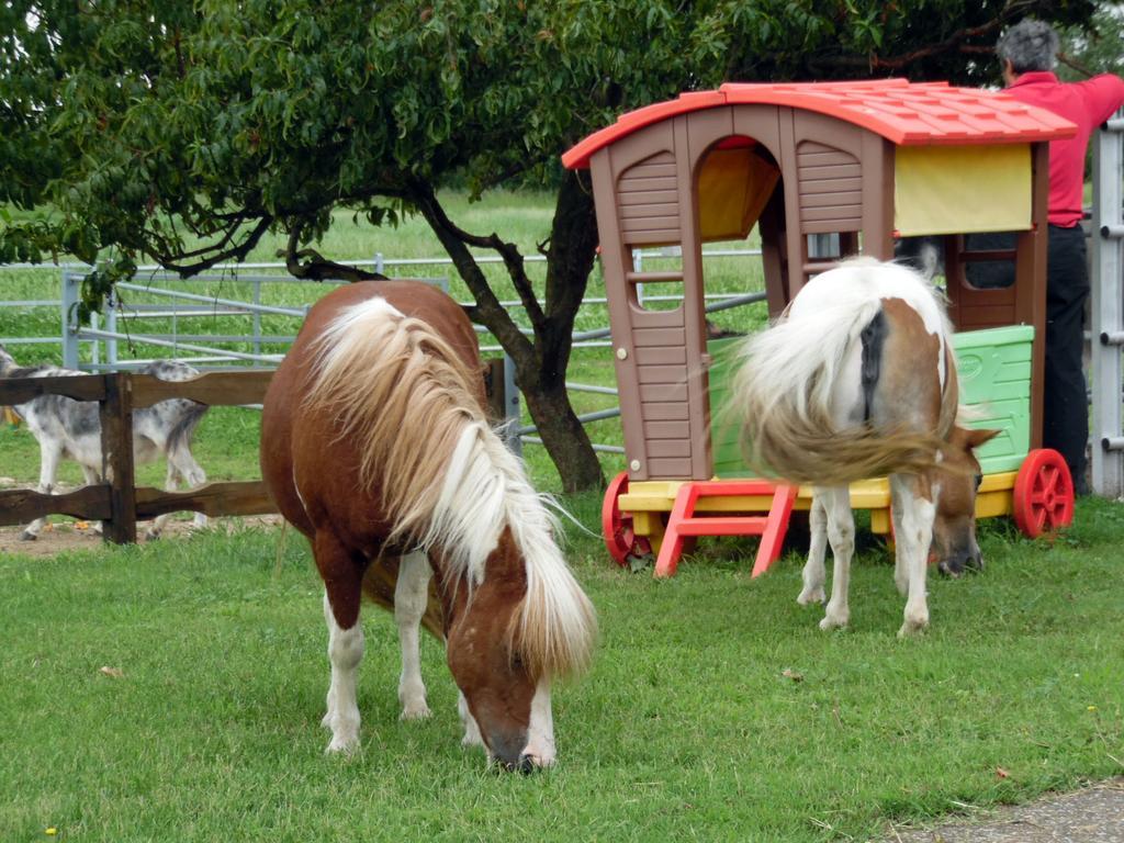 Bed And Breakfast Azienda Agricola Cascina Salazzara Magenta Ngoại thất bức ảnh